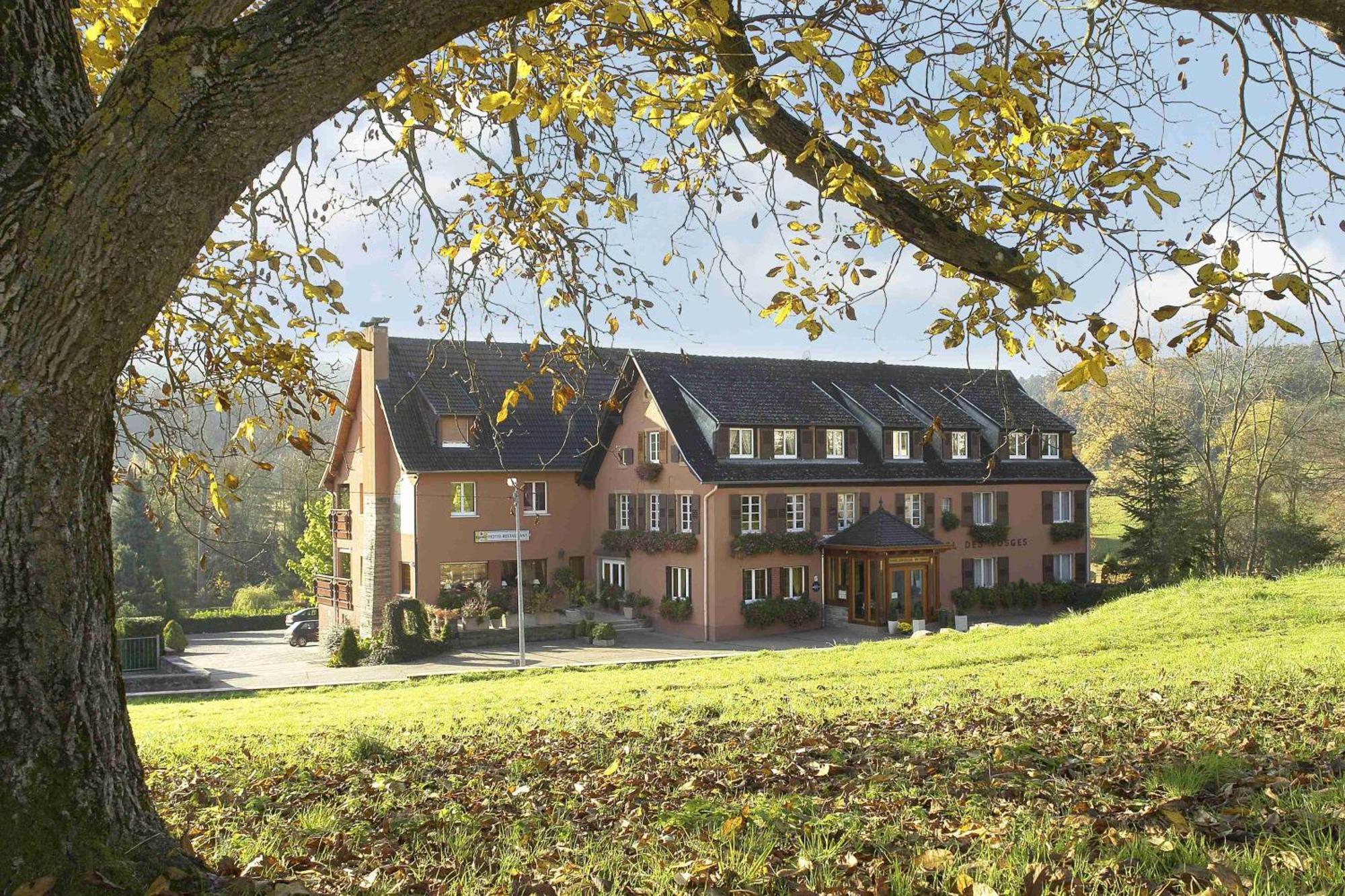 Hotel Restaurant Des Vosges Birkenwald Eksteriør billede